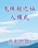 龙珠超之仙人模式完结小说