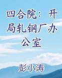 四合院：开局轧钢厂办公室小说下载