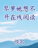 琴她小说