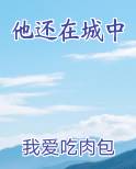 他还在城中电子书