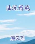 陆沉萧婉小说全文免费阅读