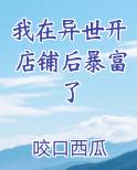 我在异界开商店les